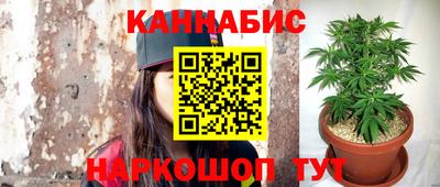 шишки Коммунар