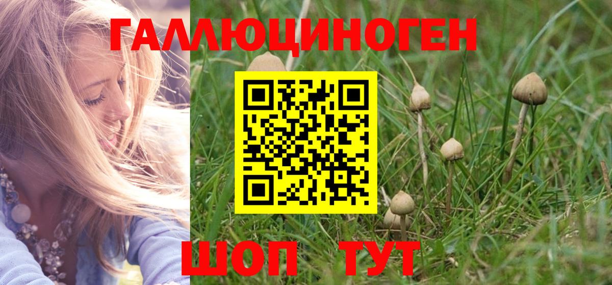 Галлюциногенные грибы ЛСД  Вход с VPN  купить наркотик  Красноуфимск 